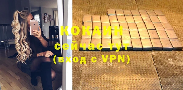прущий лед Богданович