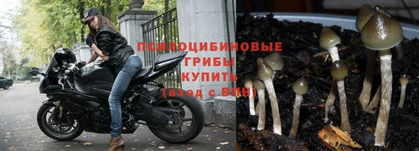 дживик Семикаракорск