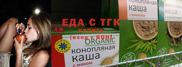 прущий лед Богданович
