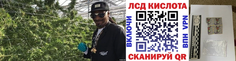 дарк нет как зайти купить наркоту Вязьма Марки NBOMe 1500мкг