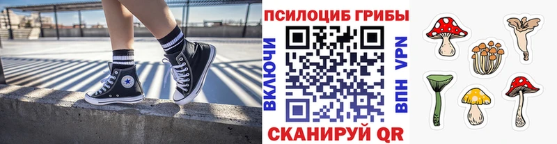 мега рабочий сайт где купить наркоту Вязьма Псилоцибиновые грибы Cubensis