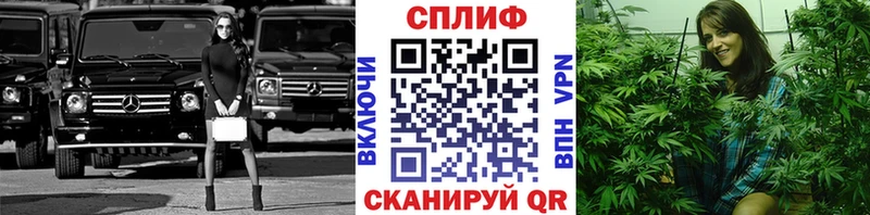 Шишки марихуана план Вязьма